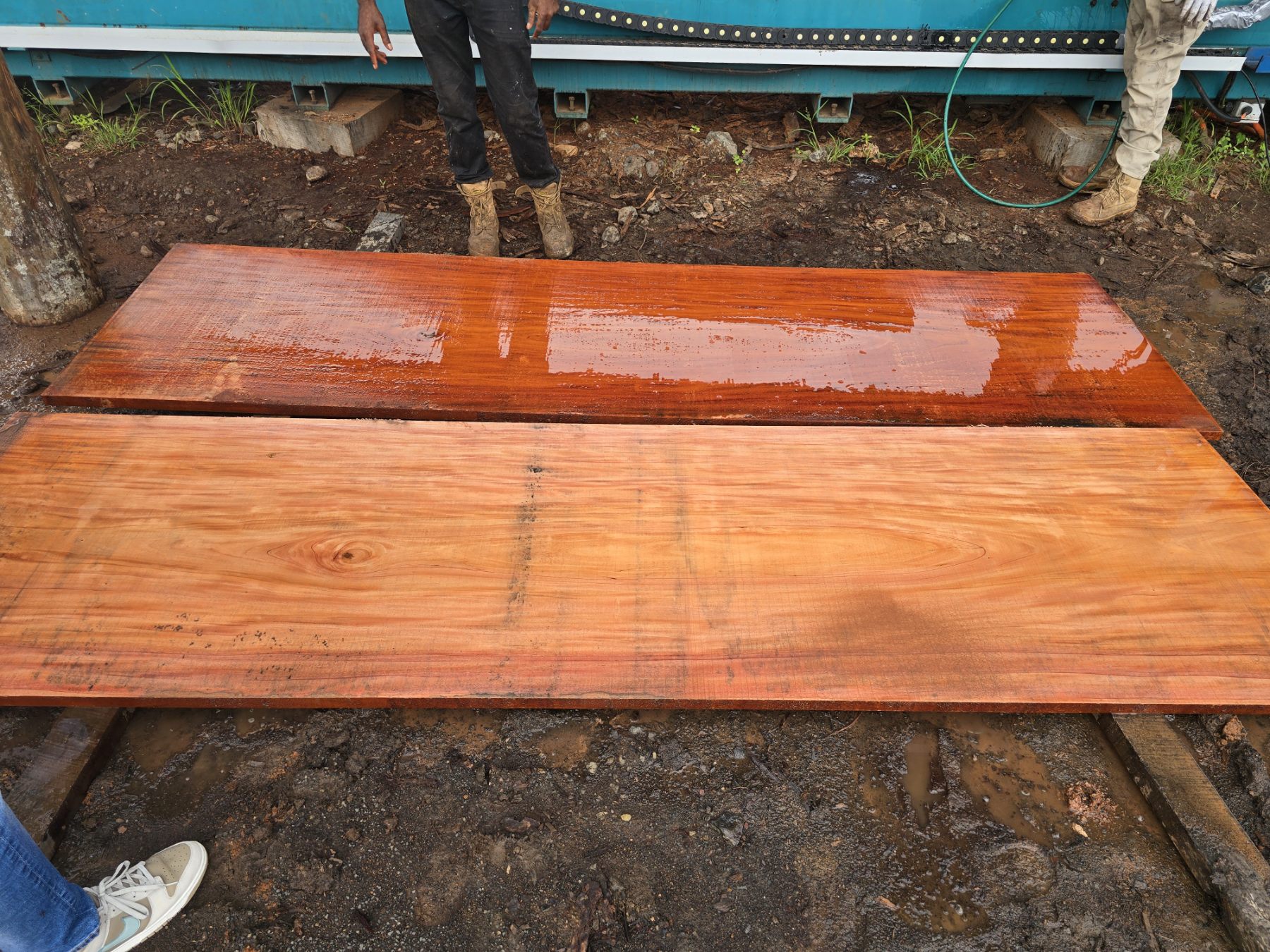 Finished timber slabs showing rich colour and surface finish