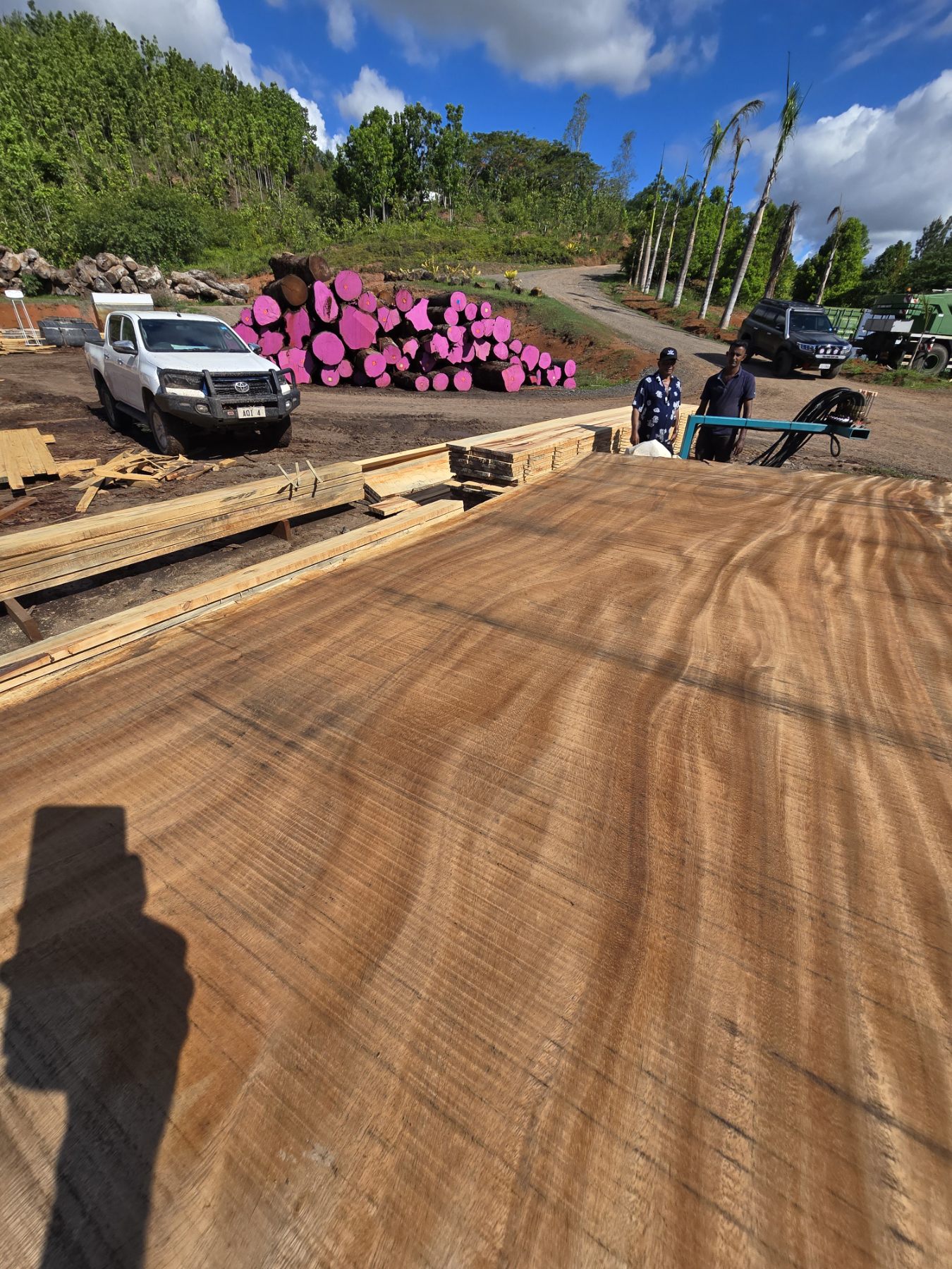 Wide timber slab showing natural grain and figure