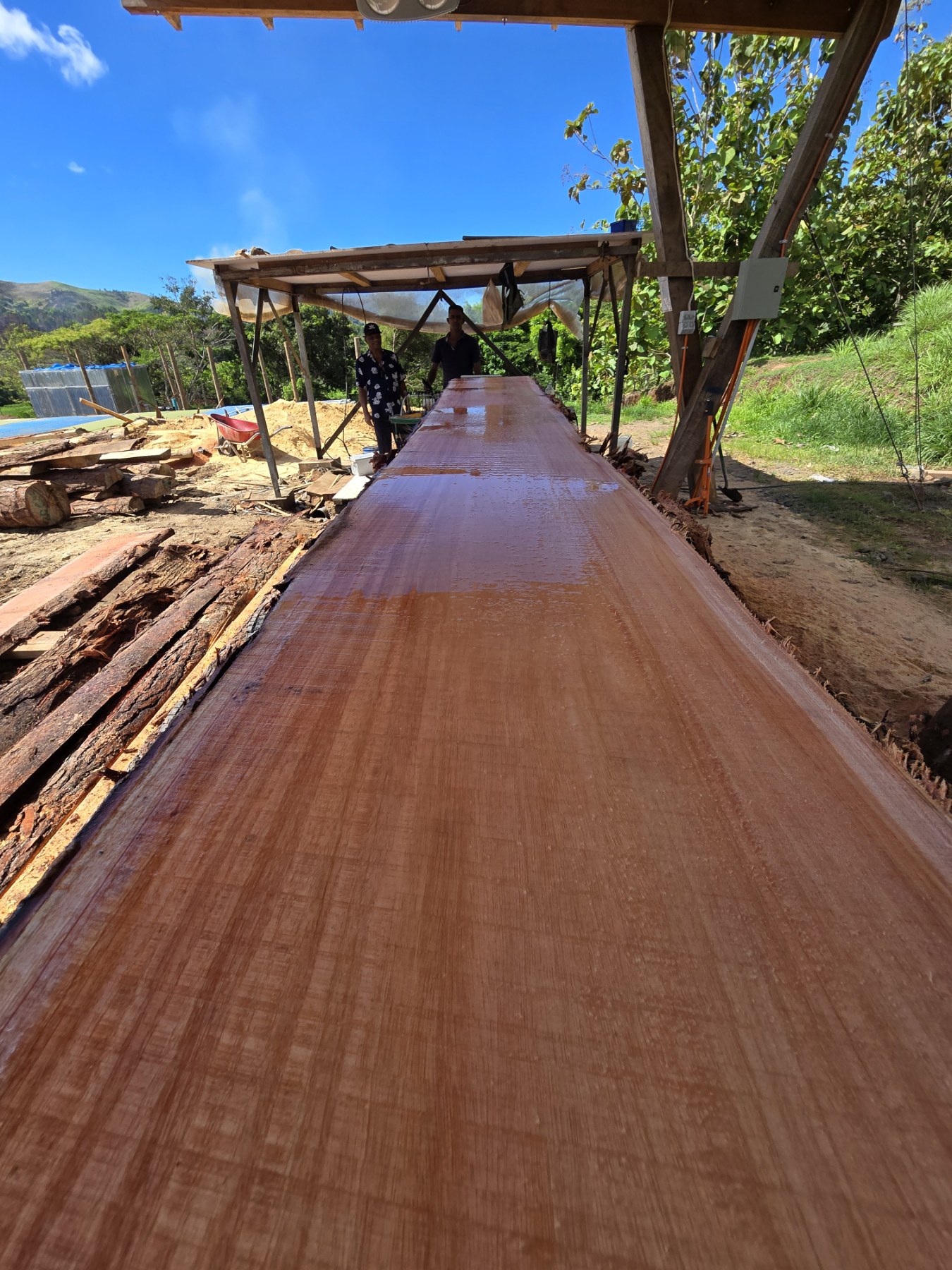 Large live-edge slab after sawing at the mill