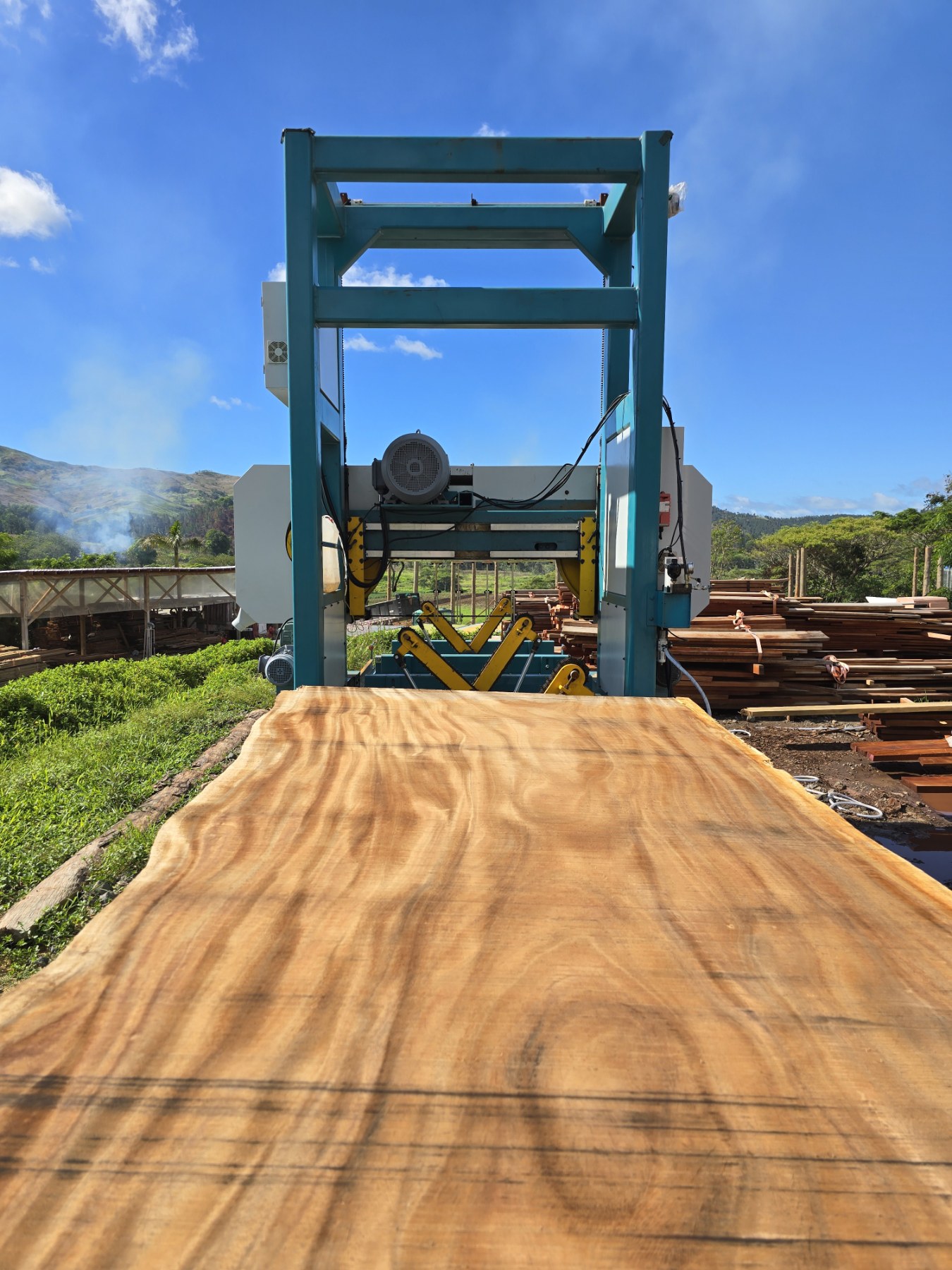 Band sawmill cutting a wide live-edge timber slab